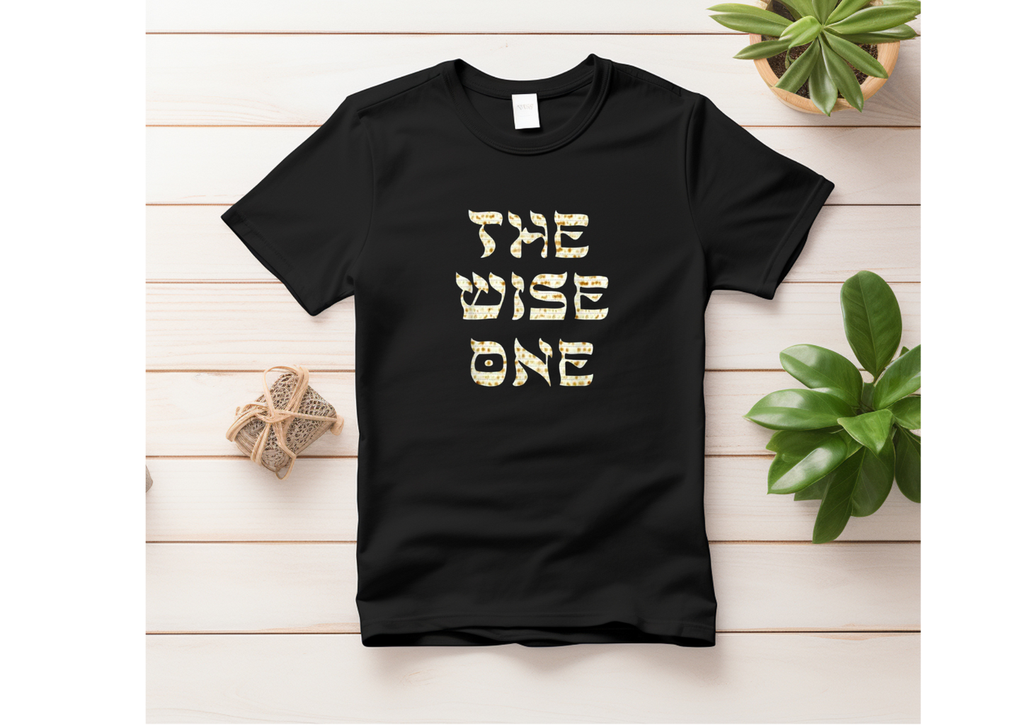 Pesach t-shirt (adult)