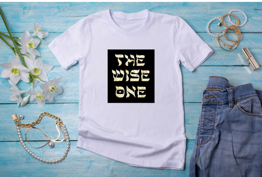 Pesach t-shirt (adult)